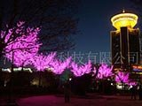 led花樹燈